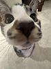 book_kat34's profile picture