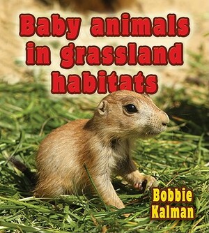 Baby Animals in Grassland Habitats by Bobbie Kalman