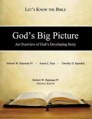 God's Big Picture: An Overview of God's Developing Story by Aaron C. Peer, Herbert W. Bateman IV, Timothy D. Sprankle
