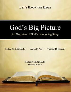 God's Big Picture: An Overview of God's Developing Story by Aaron C. Peer, Timothy D. Sprankle, Herbert W. Bateman IV