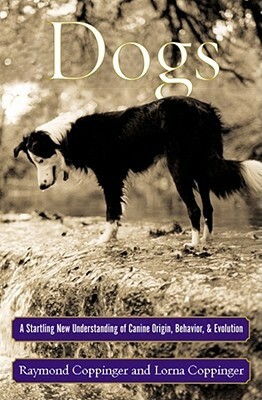 Dogs: A Startling New Understanding of Canine Origin, Behavior & Evolution by Lorna Coppinger, Raymond Coppinger