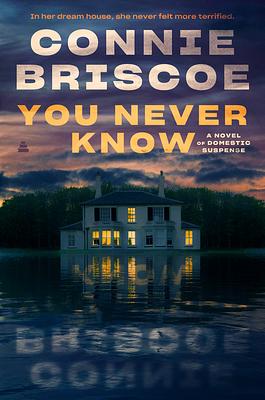 You Never Know: A Novel of Domestic Suspense by Connie Briscoe, Connie Briscoe