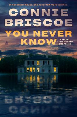 You Never Know by Connie Briscoe