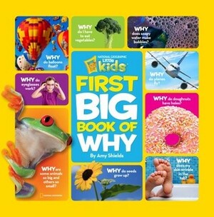 First Big Book of Why by Amy Shields