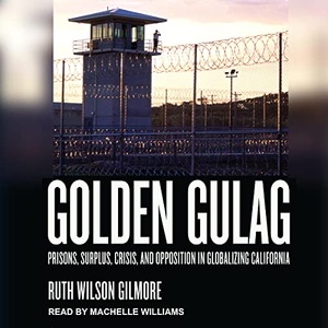 Golden Gulag: Prisons, Surplus, Crisis, and Opposition in Globalizing California by Ruth Wilson Gilmore