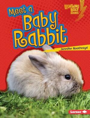 Meet a Baby Rabbit by Jennifer Boothroyd