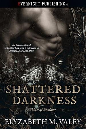 Shattered Darkness by Elyzabeth M. Valey