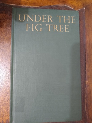 Under the Fig Tree by 