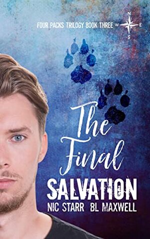 The Final Salvation by BL Maxwell