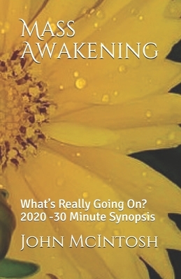 Mass Awakening: What's Really Going On? 2020 -30 Minute Synopsis by John McIntosh