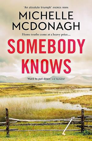 Somebody knows  by Michelle McDonagh