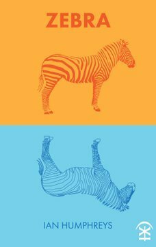 Zebra by Ian Humphreys