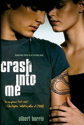 Crash Into Me by Albert Borris