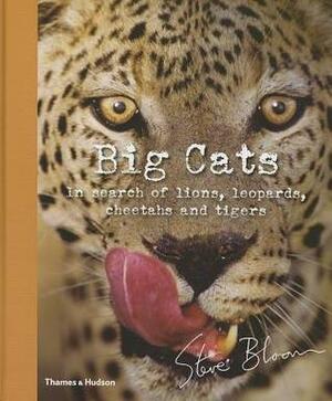 Big Cats: In Search of Lions, Leopards, Cheetahs, and Tigers by Steve Bloom