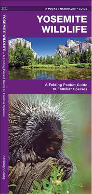 Yosemite Wildlife: A Folding Pocket Guide to Familiar Species by Waterford Press, James Kavanagh