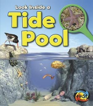 Tide Pool: Look Inside by Louise Spilsbury