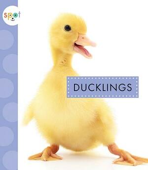 Ducklings by Anastasia Suen