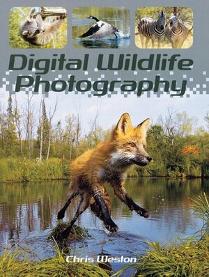 Digital Wildlife Photography by Chris Weston
