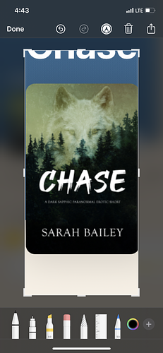 Chase by Sarah Bailey