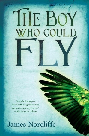 The Boy Who Could Fly by James Norcliffe