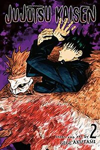 Jujutsu Kaisen, Vol. 2: Fearsome Womb by Gege Akutami