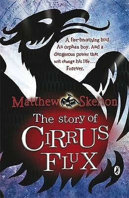 The Story of Cirrus Flux by Matthew Skelton