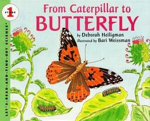 From Caterpillar to Butterfly by Deborah Heiligman, Bari Weissman