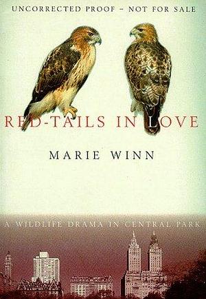 Red Tails In Love a Wildlife Drama In Ce by Marie Winn, Marie Winn