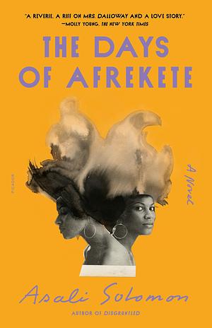 Days of Afrekete by Asali Solomon