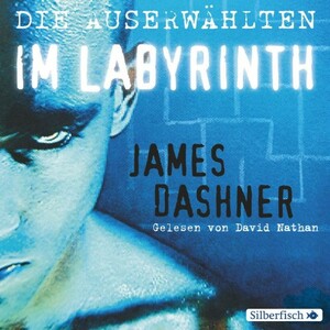 Im Labyrinth by James Dashner