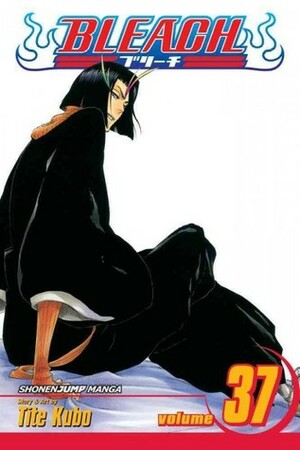 Bleach Vol. 37: Beauty Is So Solitary by Tite Kubo