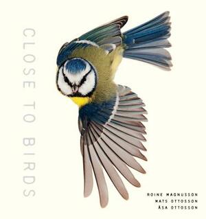 Close to Birds: An Intimate Look at Our Feathered Friends by Mats Ottosson, Åsa Ottosson, Roine Magnusson