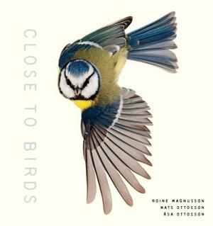 Close to Birds: An Intimate Look at Our Feathered Friends by Mats Ottosson, Roine Magnusson, Åsa Ottosson