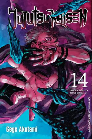 Jujutsu Kaisen, Vol. 14 by Gege Akutami