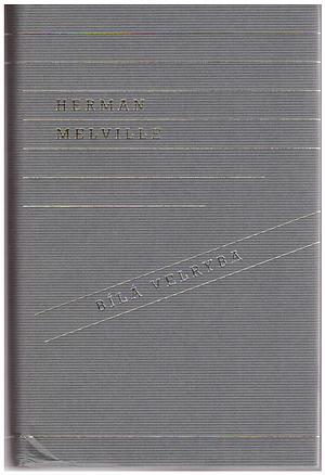 Bílá velryba by Herman Melville