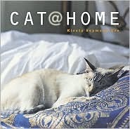Cat at Home by Kirsty Seymour-Ure