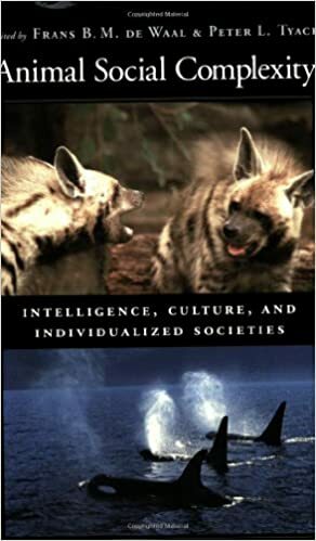 Animal Social Complexity: Intelligence, Culture, and Individualized Societies by Frans de Waal