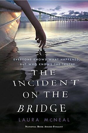 The Incident on the Bridge by Laura McNeal