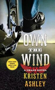 Own the Wind by Kristen Ashley