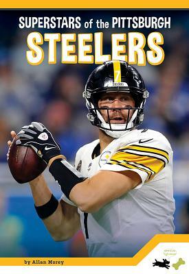 Pittsburgh Steelers by Allan Morey