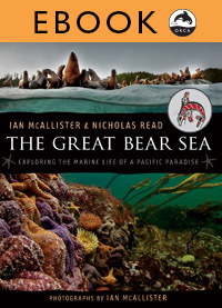 The Great Bear Sea by Nicholas Read, Ian McAllister