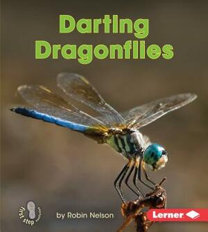 Darting Dragonflies by Robin Nelson