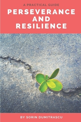 Perseverance and Resilience: A Practical Guide by Sorin Dumitrascu