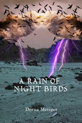 A Rain of Night Birds by Deena Metzger