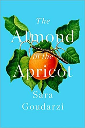 The Almond in the Apricot by Sara Goudarzi