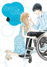 Perfect World, Volume 4 by Rie Aruga