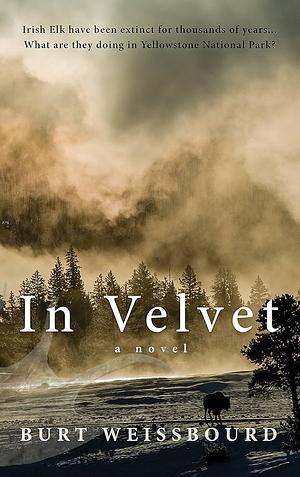 In Velvet: A Novel by Burt Weissbourd