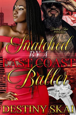 Snatched By An East Coast Baller by Destiny Skai, Destiny Skai