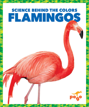 Flamingos by Alicia Z. Klepeis