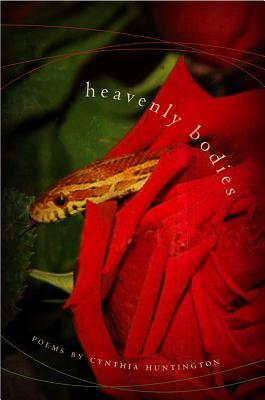 Heavenly Bodies by Cynthia Huntington